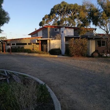 Swansea Backpacker Lodge מראה חיצוני תמונה