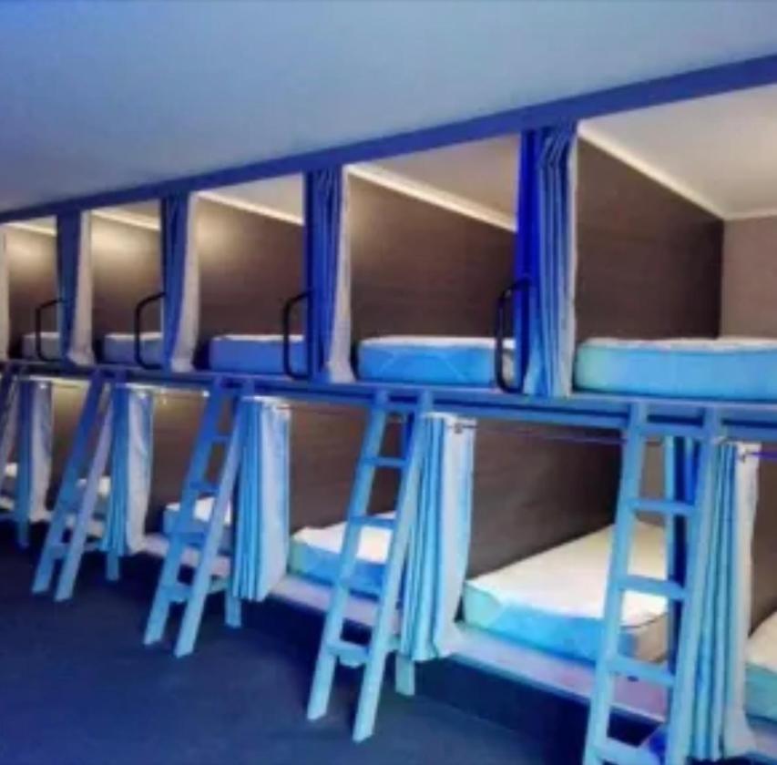 Swansea Backpacker Lodge מראה חיצוני תמונה