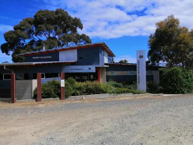 Swansea Backpacker Lodge מראה חיצוני תמונה