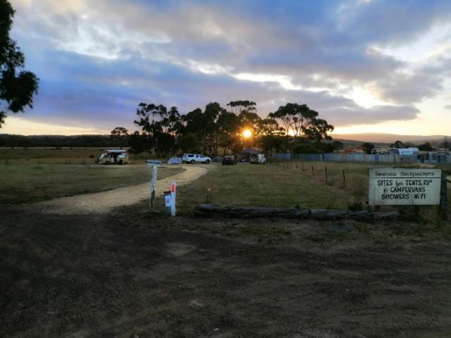 Swansea Backpacker Lodge מראה חיצוני תמונה